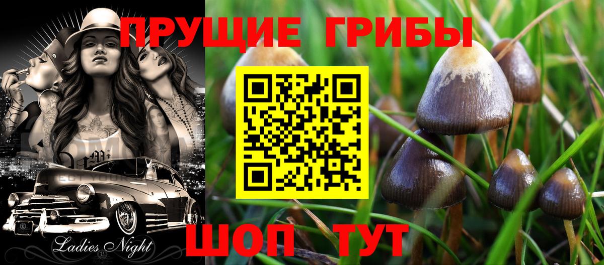 Кисловодск  Псилоцибиновые грибы мицелий  Вход с VPN 