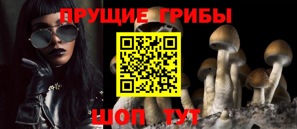 Альфа ПВП Кисловодск