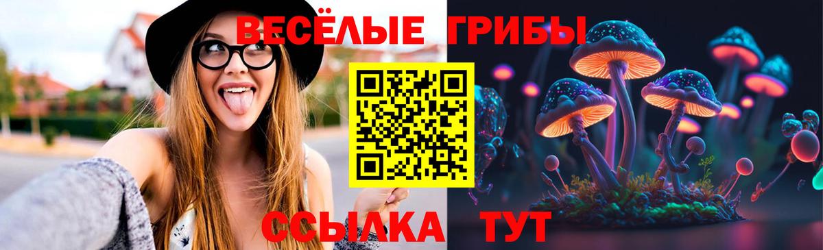 Псилоцибиновые грибы Psilocybine cubensis Кисловодск